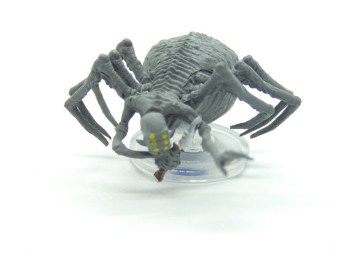 Choldrith - Volo's and Mordenkainen's Foes - 20/44